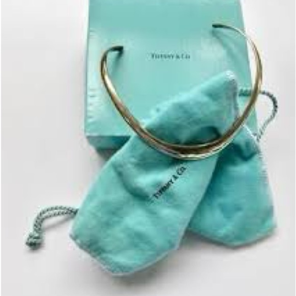 Tiffany Collar necklace.